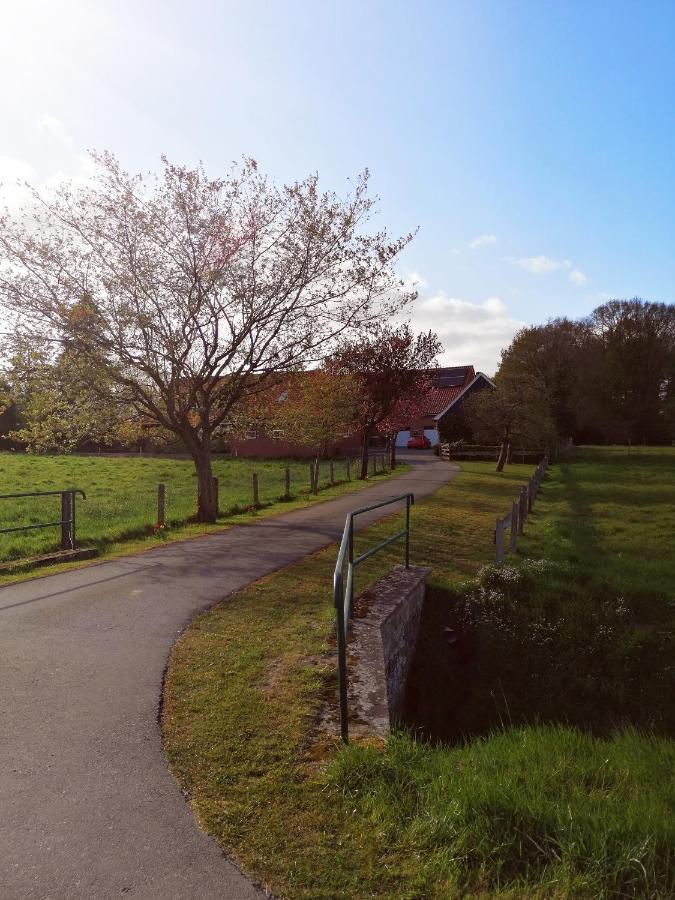 Am Waldrand Apartman Schüttorf Kültér fotó
